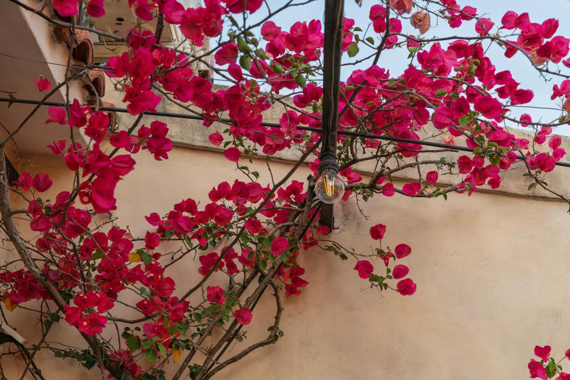 Giulia's House, Monti Roma