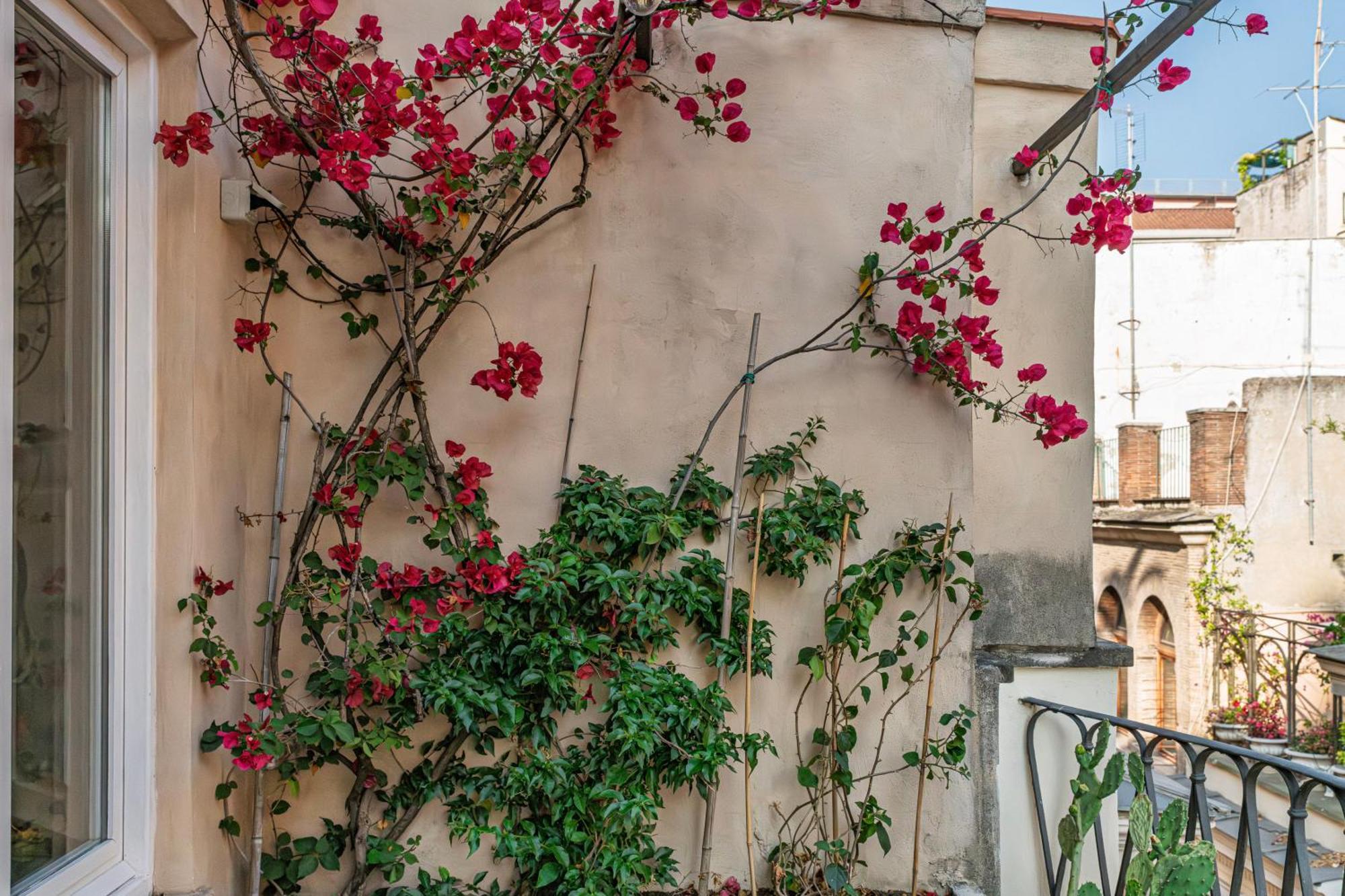 Giulia's House, Monti * Roma
